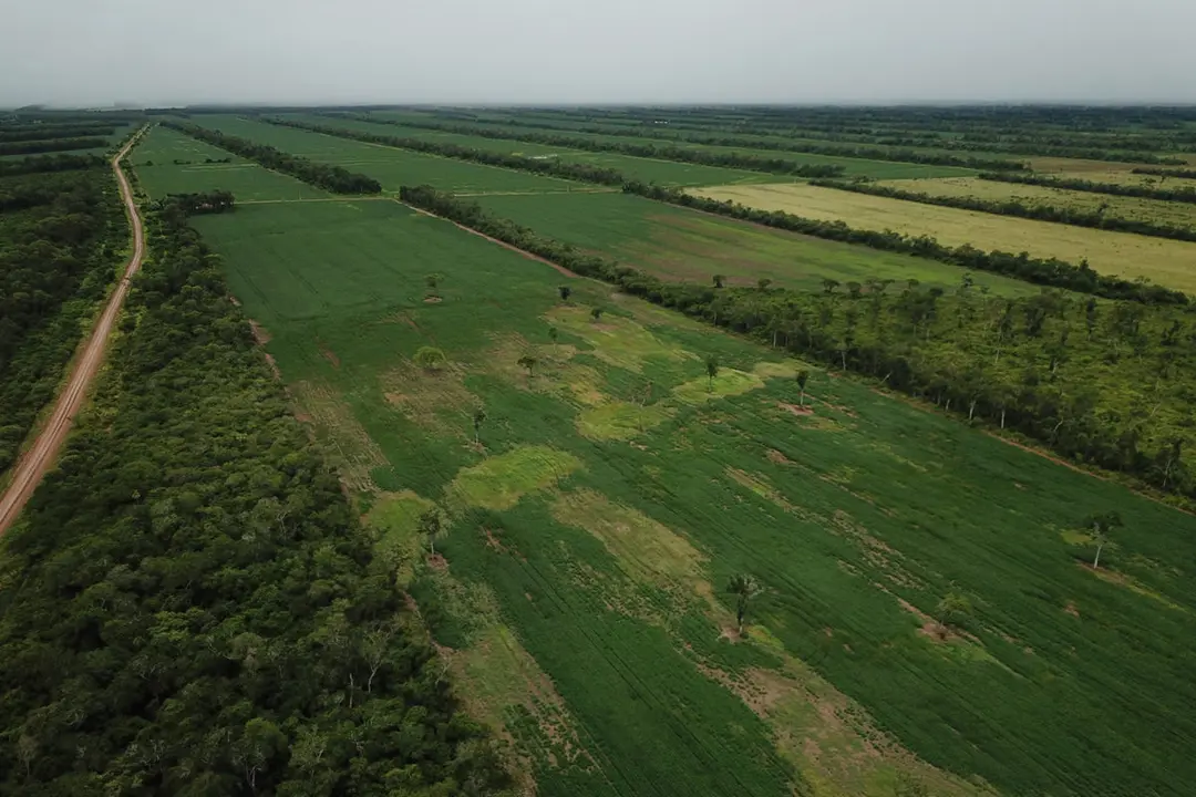 Tierras Pando.