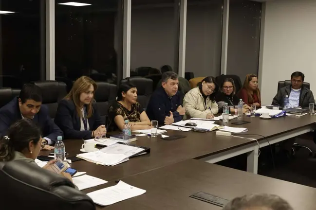 Legisladores analizan el proyecto de ley. (Foto: C&aacute;mara de Senadores)