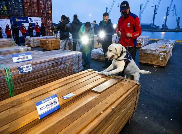 Inspecci&oacute;n de la madera con droga en Chile. (Foto: RRSS)