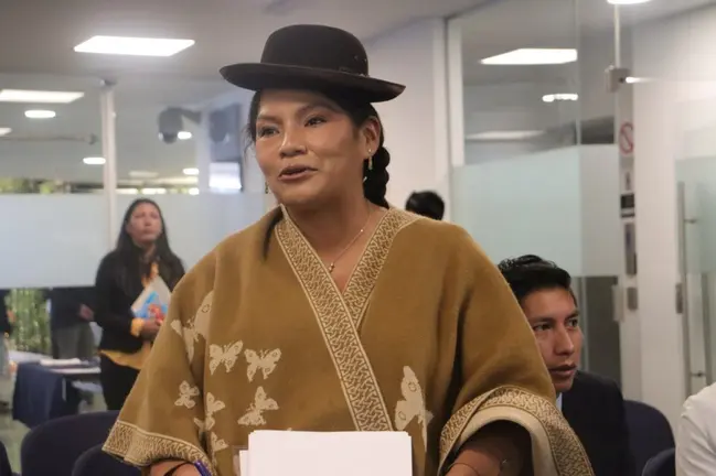 Ana Mar&iacute;a Crisp&iacute;n, senadora PDC.