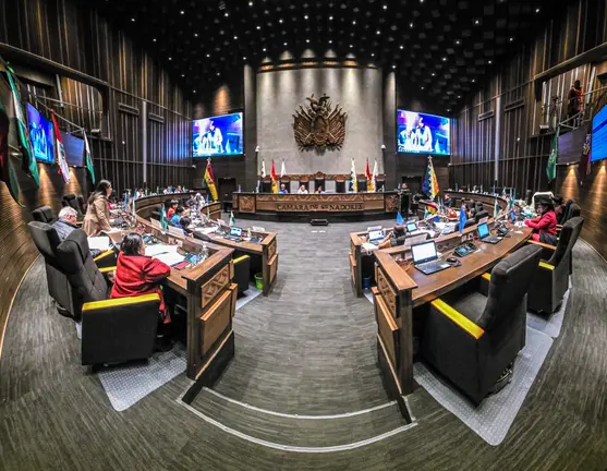 C&aacute;mara de Senadores