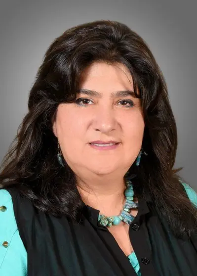 diputadosbo