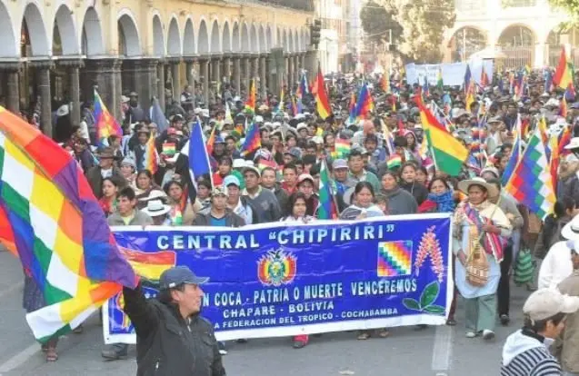 cocaleros efe
