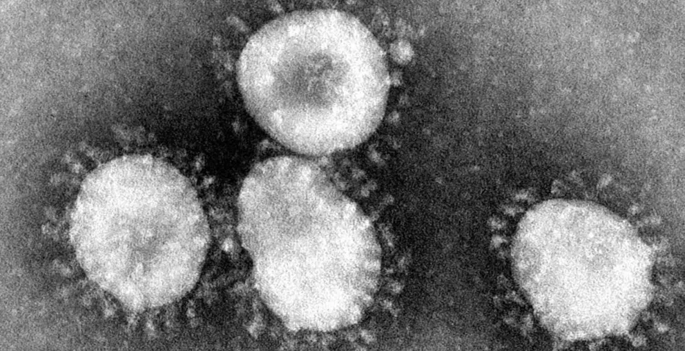 coronavirus_0_0