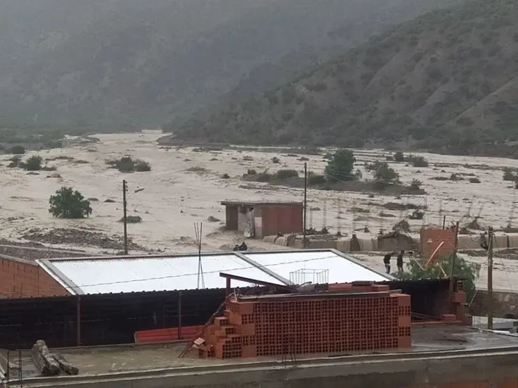 el potos&iacute;