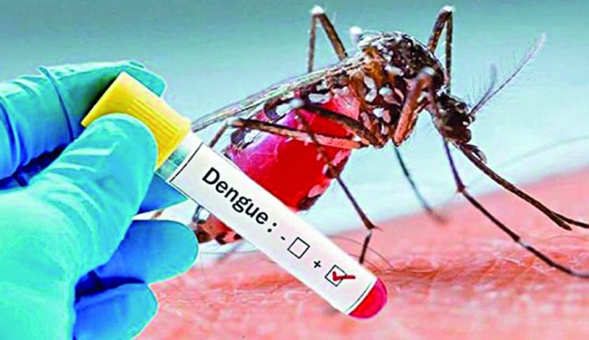 correo del sur dengue