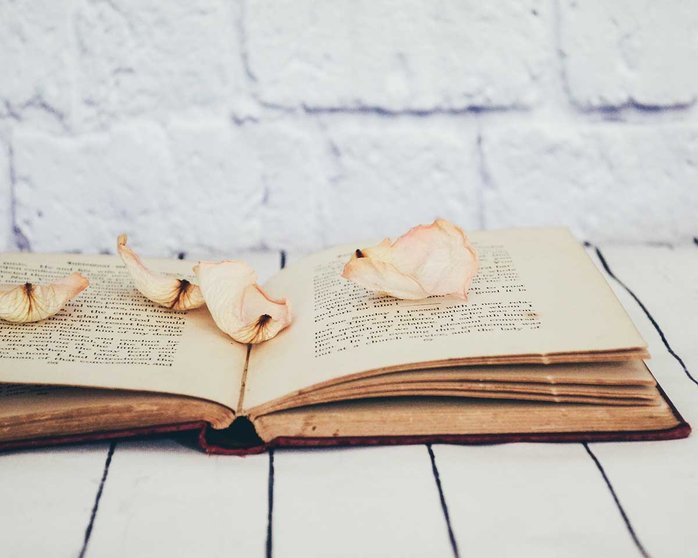 Día del Libro y cuarentena: 5 libros de novela romántica