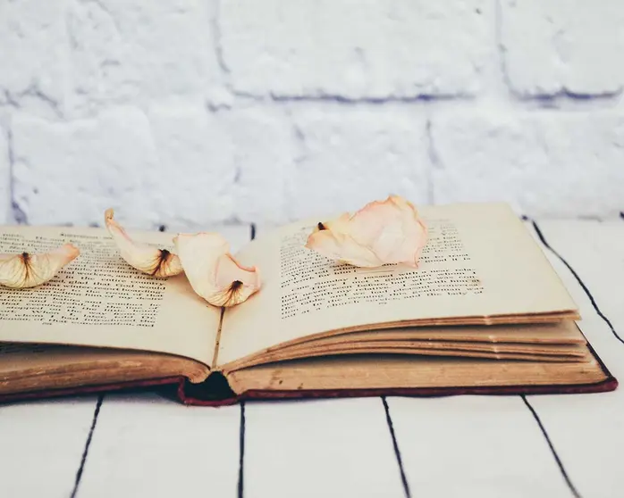 D&iacute;a del Libro y cuarentena: 5 libros de novela rom&aacute;ntica