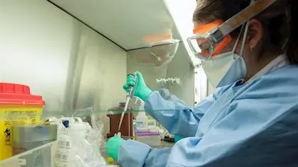 coronavirus Catalu&ntilde;a