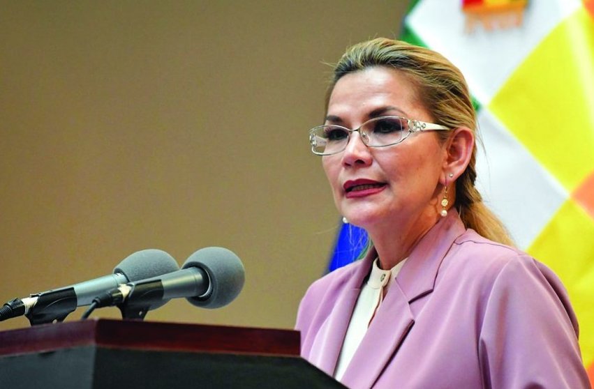 Presidenta Jeanine Añez Foto: RRSS