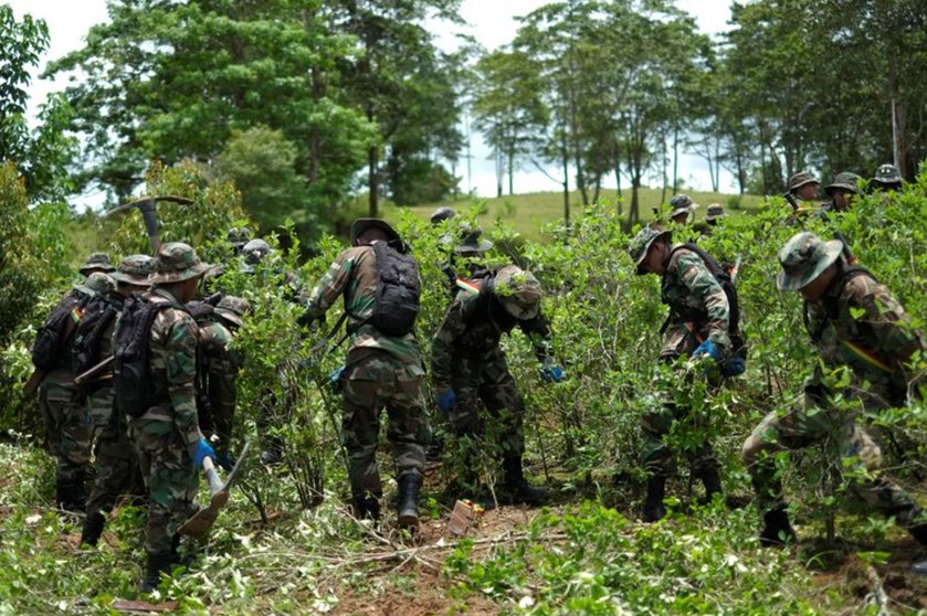 Militares durante tareas de erradicación de plantas de coca en la zona de Chimoré, en el Chapare. Foto: Reuters/David Mercado