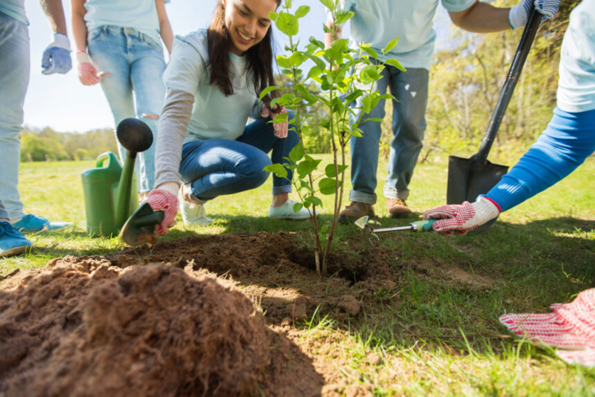 Plantando &aacute;rboles (Imagen Referencial) Foto: Internet