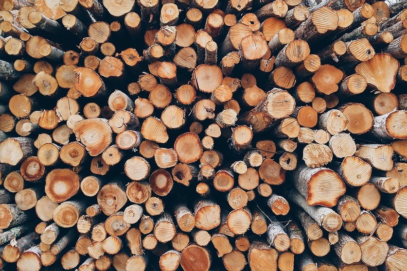Troncos de madera. (Foto: Pixabay).