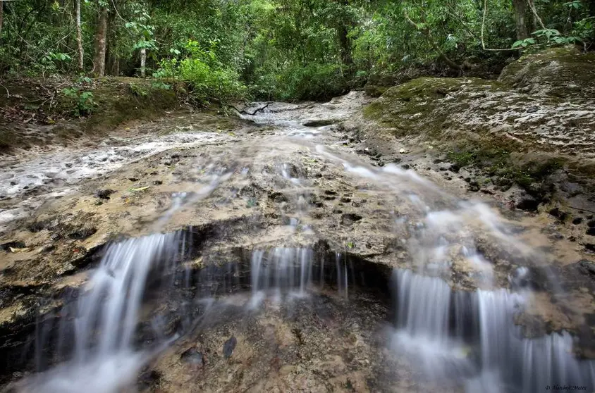 (Foto: Laregion).