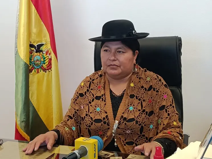 Simona Quispe, senadora del MAS. (Foto: La Patria).
