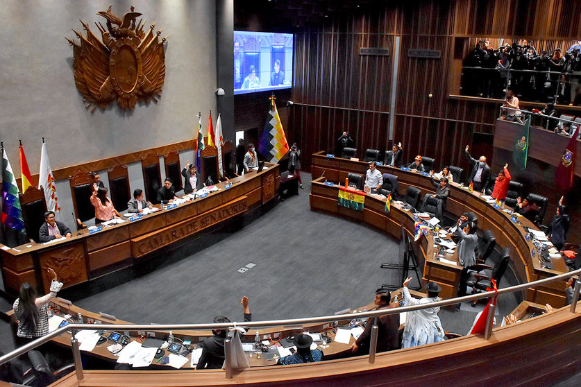 Cámara de Senadores de Bolivia. (Foto: Jornada).