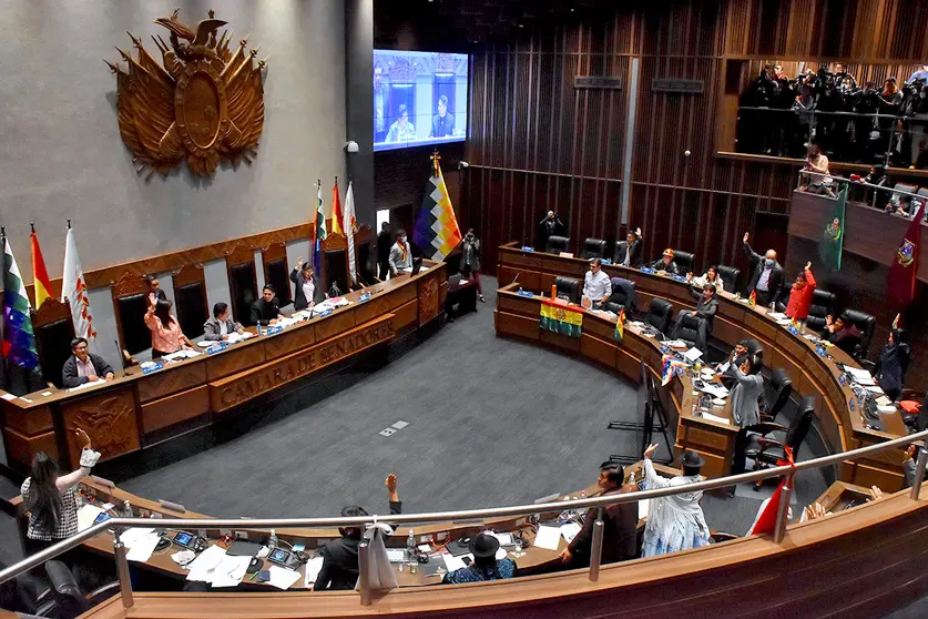C&aacute;mara de Senadores de Bolivia. (Foto: Jornada).