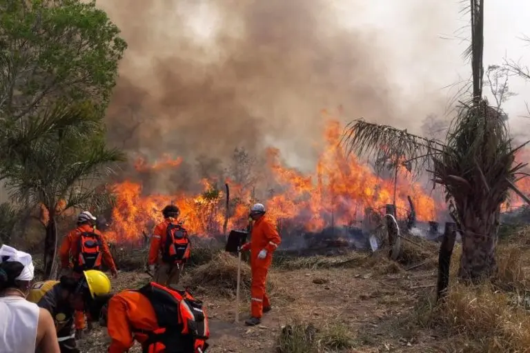 Incendios en el pa&iacute;s. (Foto: Mongabay Latam).