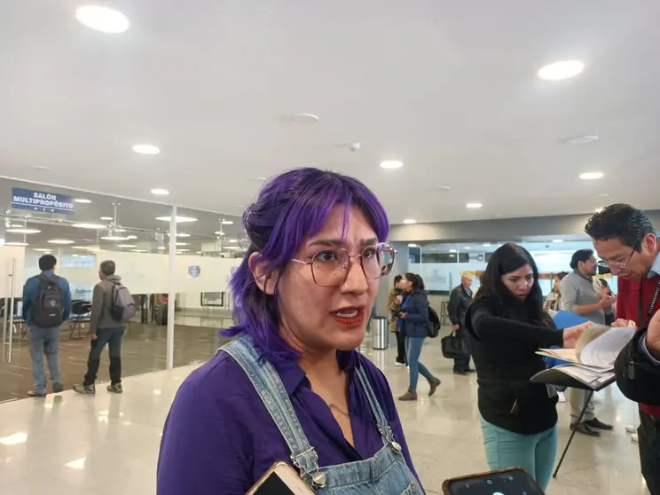 Alejandra Camargo, diputada de CC. (Foto: La Patria).