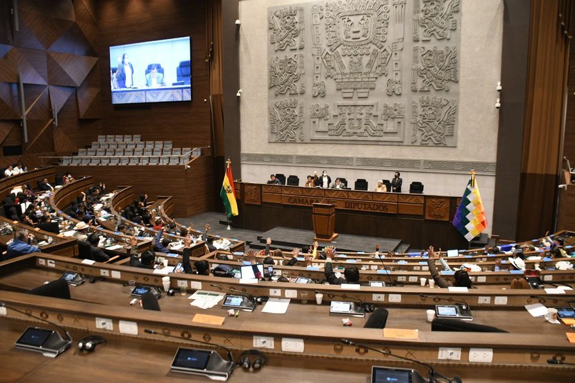Asamblea Legislativa Plurinacional. (Foto: CD)