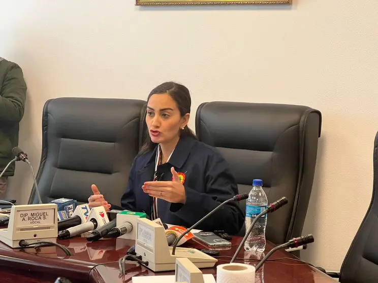 Luisa Nayar, diputada de Comunidad Ciudadana. (Foto: El Diario).