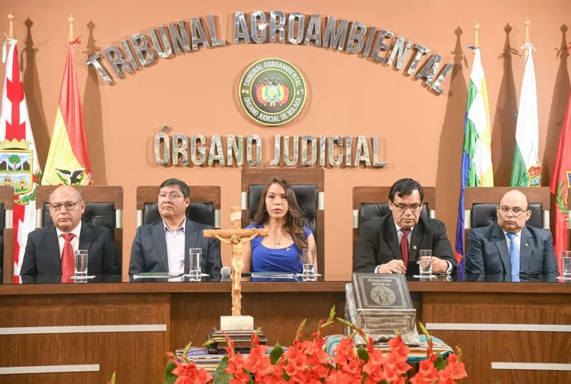 Tribunal Agroambiental. (Foto: TA).