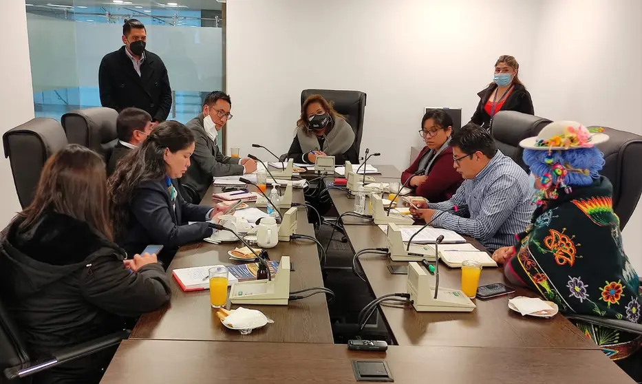 Comisi&oacute;n de Derechos Humanos, Diputados. (Foto: CD).