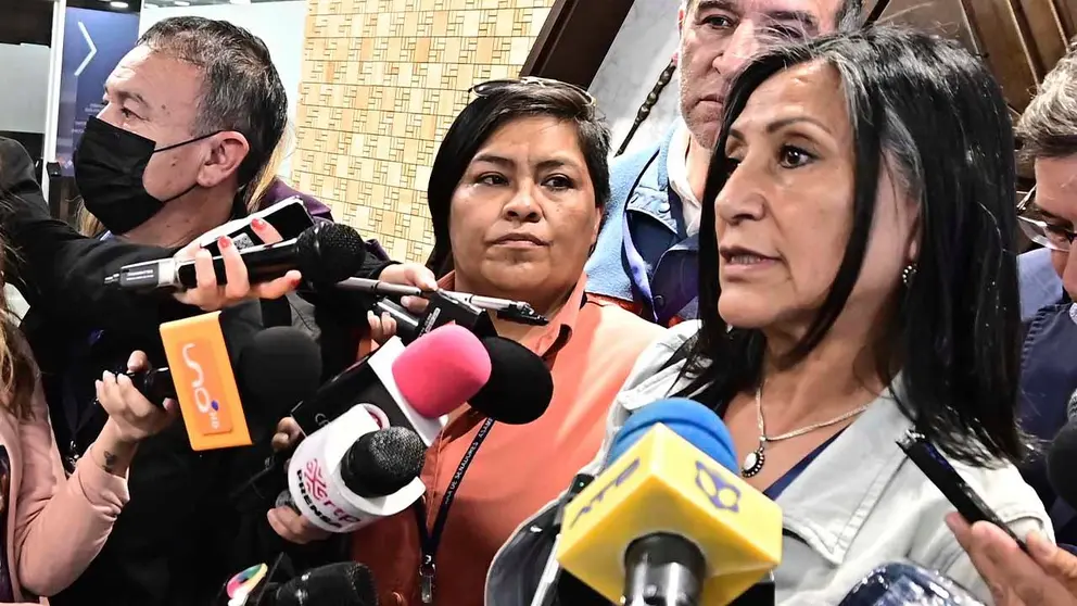 Zulema Alanes, periodista. (Foto: Opini&oacute;n Bolivia).