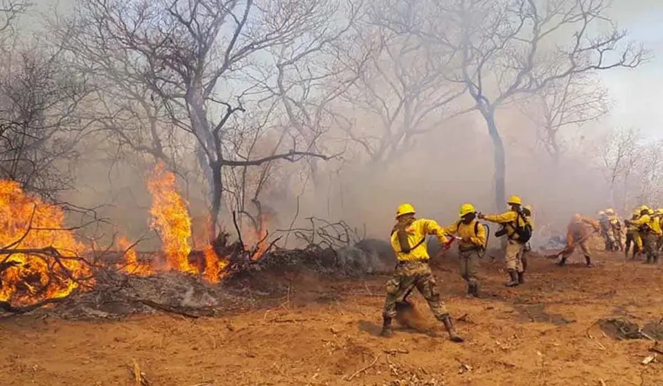 Incendios forestales. (Foto: El D&iacute;a).