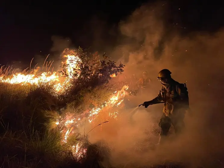 Incendios forestales. (Foto. La Nube).