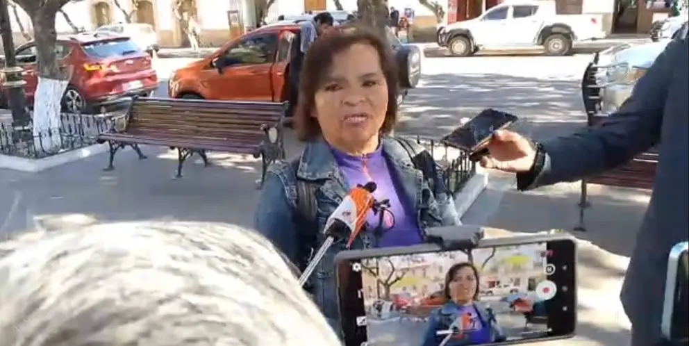 Lily Fern&aacute;ndez, diputada por Chuquisaca. (Foto: Noticias Violeta)