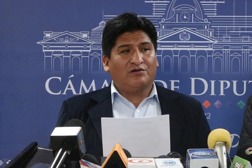 Andr&eacute;s Flores, diputado Movimiento al Socialismo (FOTO. C&aacute;mara de Diputados)