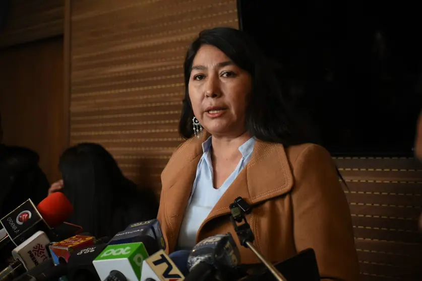 Rosario Garc&iacute;a, diputada MAS (FOTO. ABI)