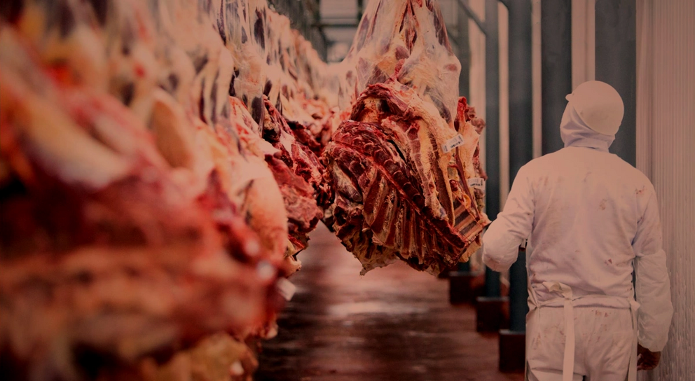 Frial, carne. (Foto. Fundaci&oacute;n Sol&oacute;n).