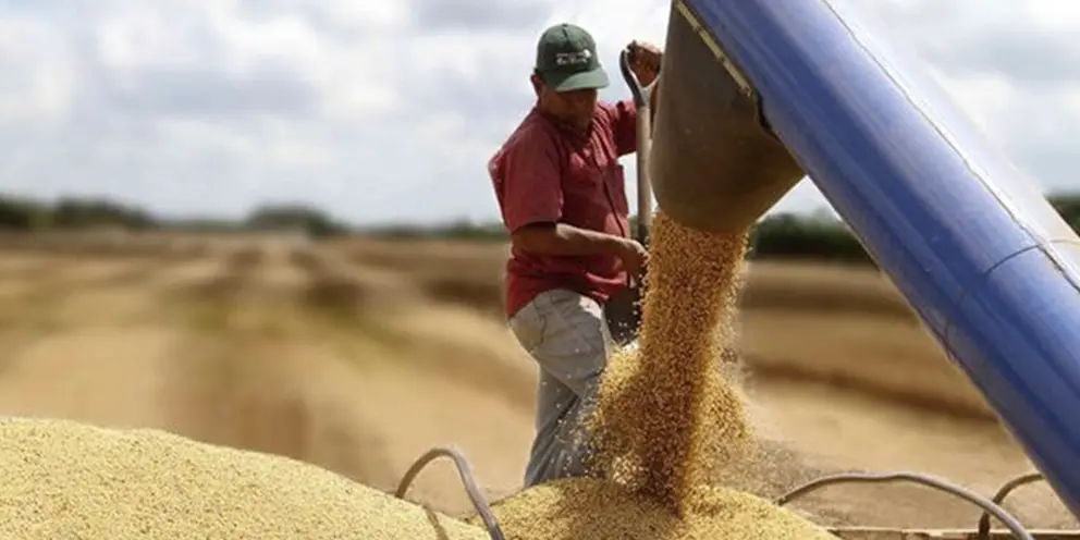 Producci&oacute;n de soya. (Foto: AEP).
