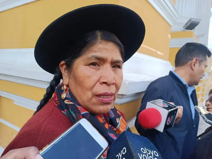 Toribia Lero Quispe, diputada. (Foto. La Patria).