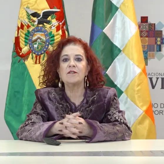 Mar&iacute;a Olivia Rothe, directora del Sistema &Uacute;nico de Salud SUS. (Foto. RR. SS.)