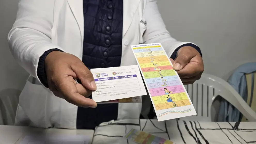Carnet de vacunaci&oacute;n. (Foto: El Mundo).