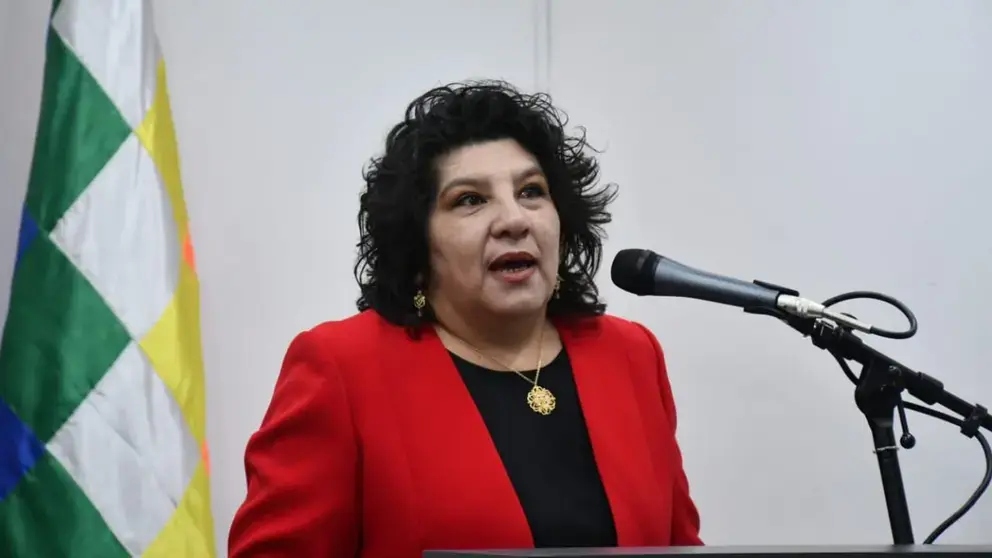Carola Arraya, viceministra. (Foto. Opini&oacute;n).