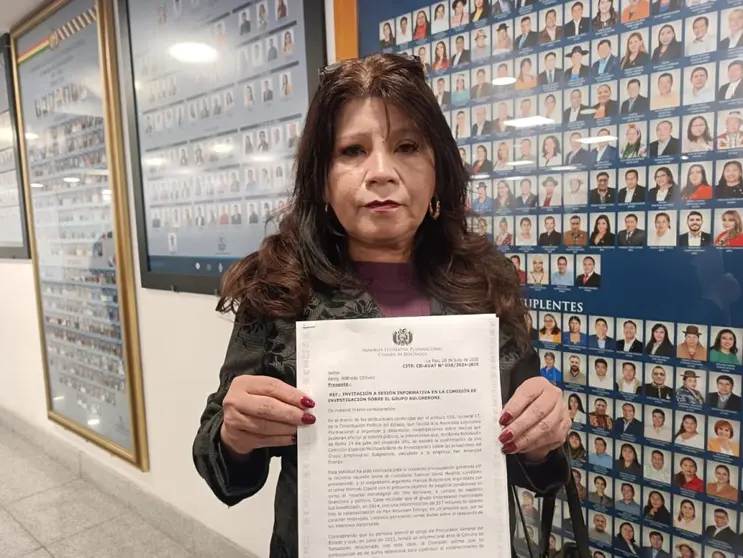 Milena Reque, diputada nacional. (Foto. La Patria).