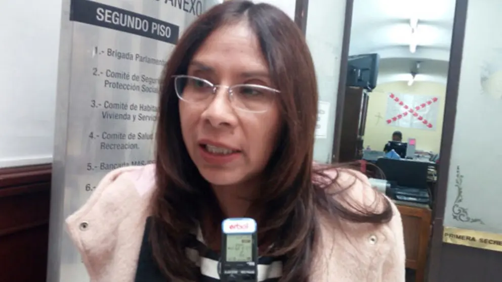 Lourdes Millares, exasambleista. (Foto. Opini&oacute;n Bol).