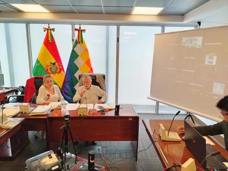 Comisi&oacute;n de Constituci&oacute;n de la C&aacute;mara de Diputados. (Foto. BD).