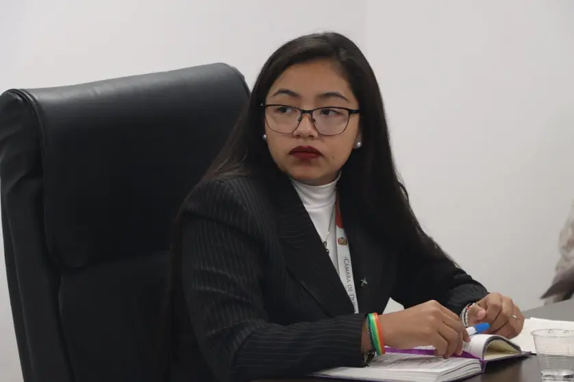 Lucero Justiniano, diputada de Alianza LIBRE. (Foto: Paola Peters).