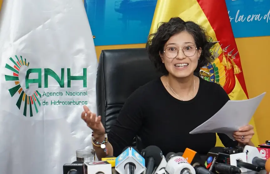 Margot Ayala, exdirectora ejecutiva de la Agencia Nacional de Hidrocarburos (ANH).