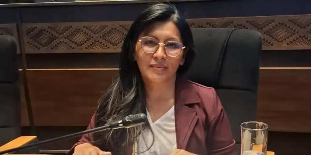 Soledad Chapet&oacute;n, Vicepresidenta de la C&aacute;mara de Senadores (Foto: RRSS).