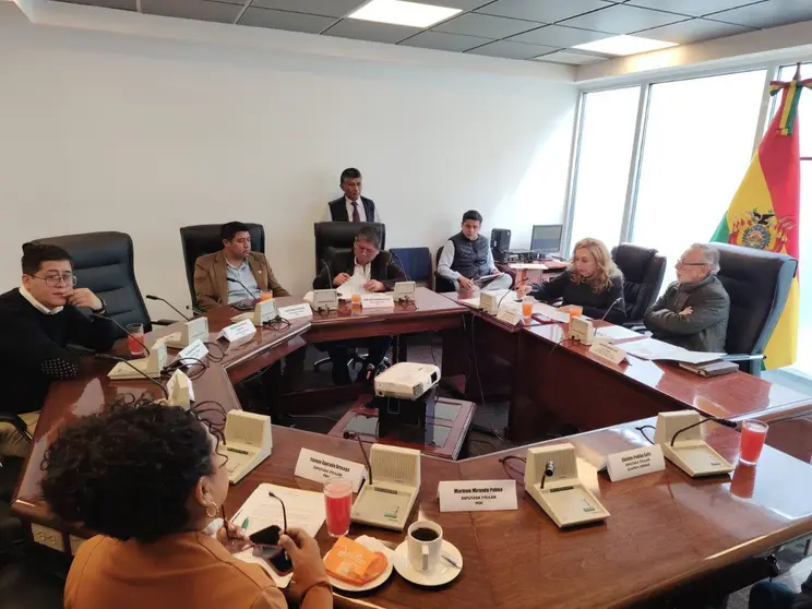 Comisi&oacute;n de Constituci&oacute;n 2026. (Foto: RR. SS.).