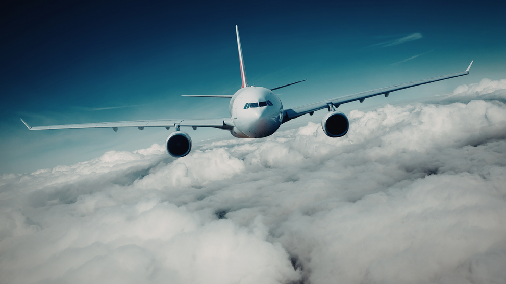 Avi&oacute;n.