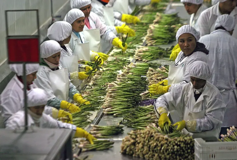 Exportaciones. Imagen referencial. (Foto: RRSS)