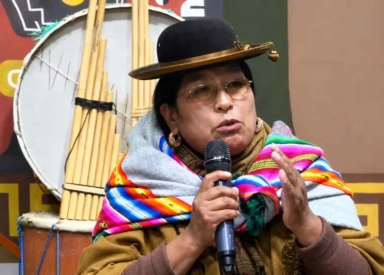 Rosal&iacute;a Churqui, representante de la Asamblea Permanente de Derechos Humanos Regional Provincias.