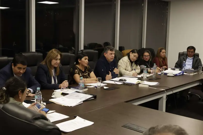Legisladores analizan el proyecto de ley. (Foto: C&aacute;mara de Senadores)